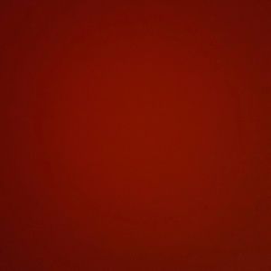 Meet your Posher, Alejandra