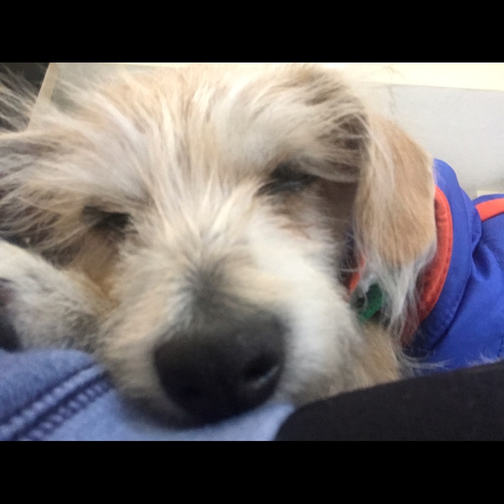 Meet your Posher, Gail