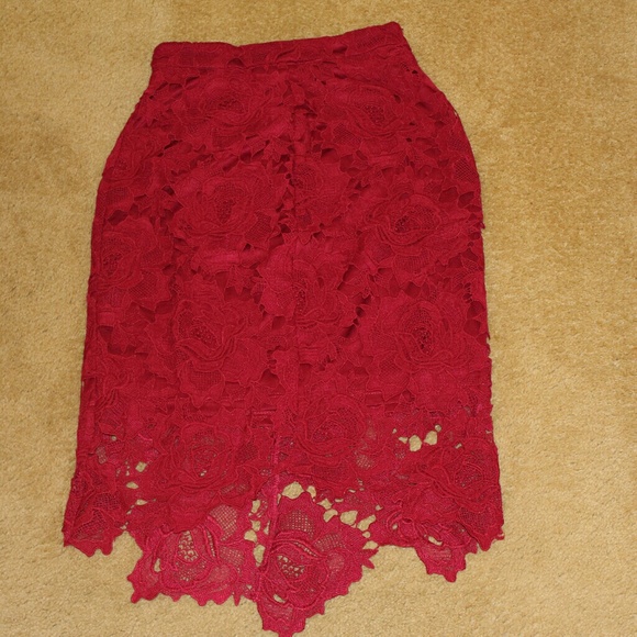 Raspberry Embroidered Crochet Pencil Skirt - Picture 2 of 4