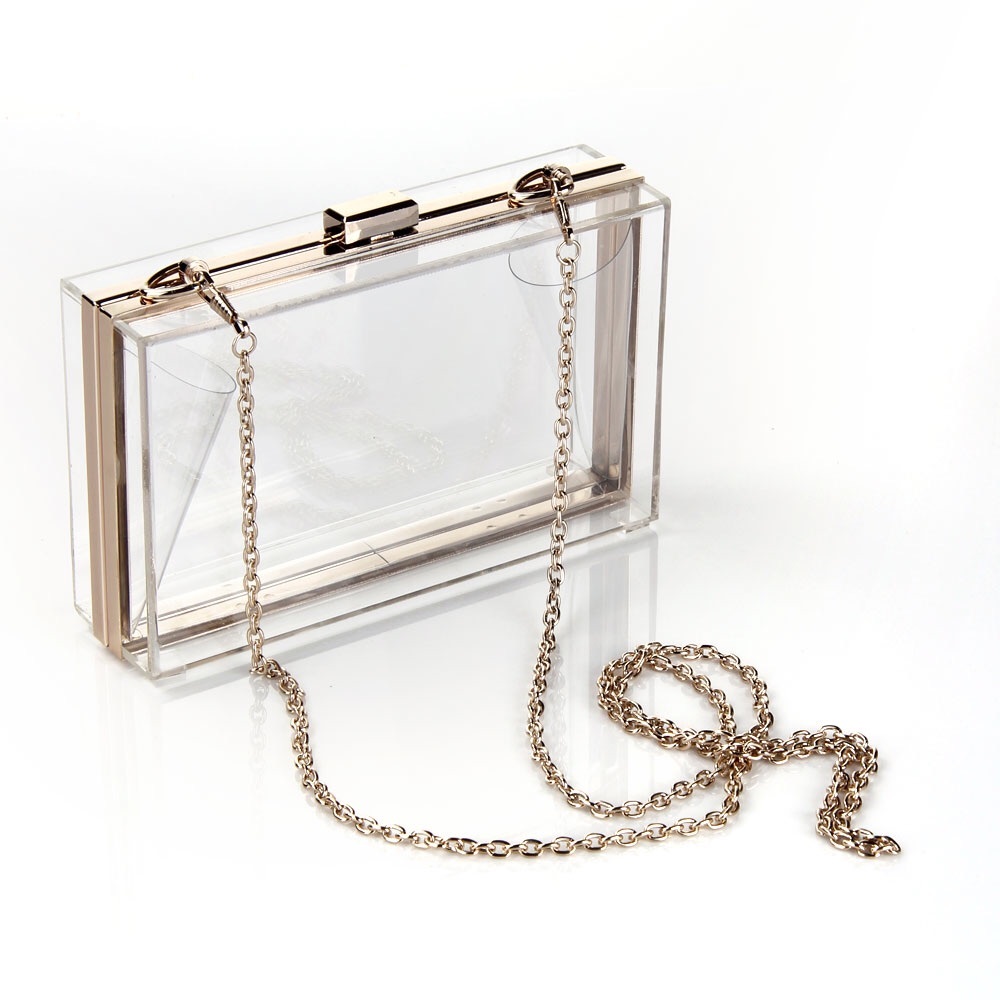 Clear Acrylic Clutch