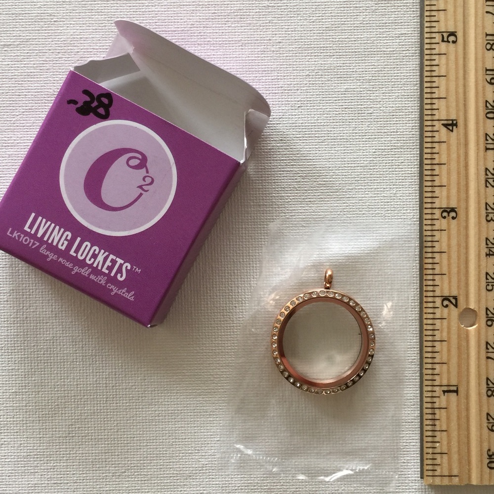 Large Rose Gold with crystals locket
