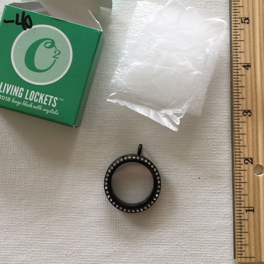 Large Black with crystal surround locket