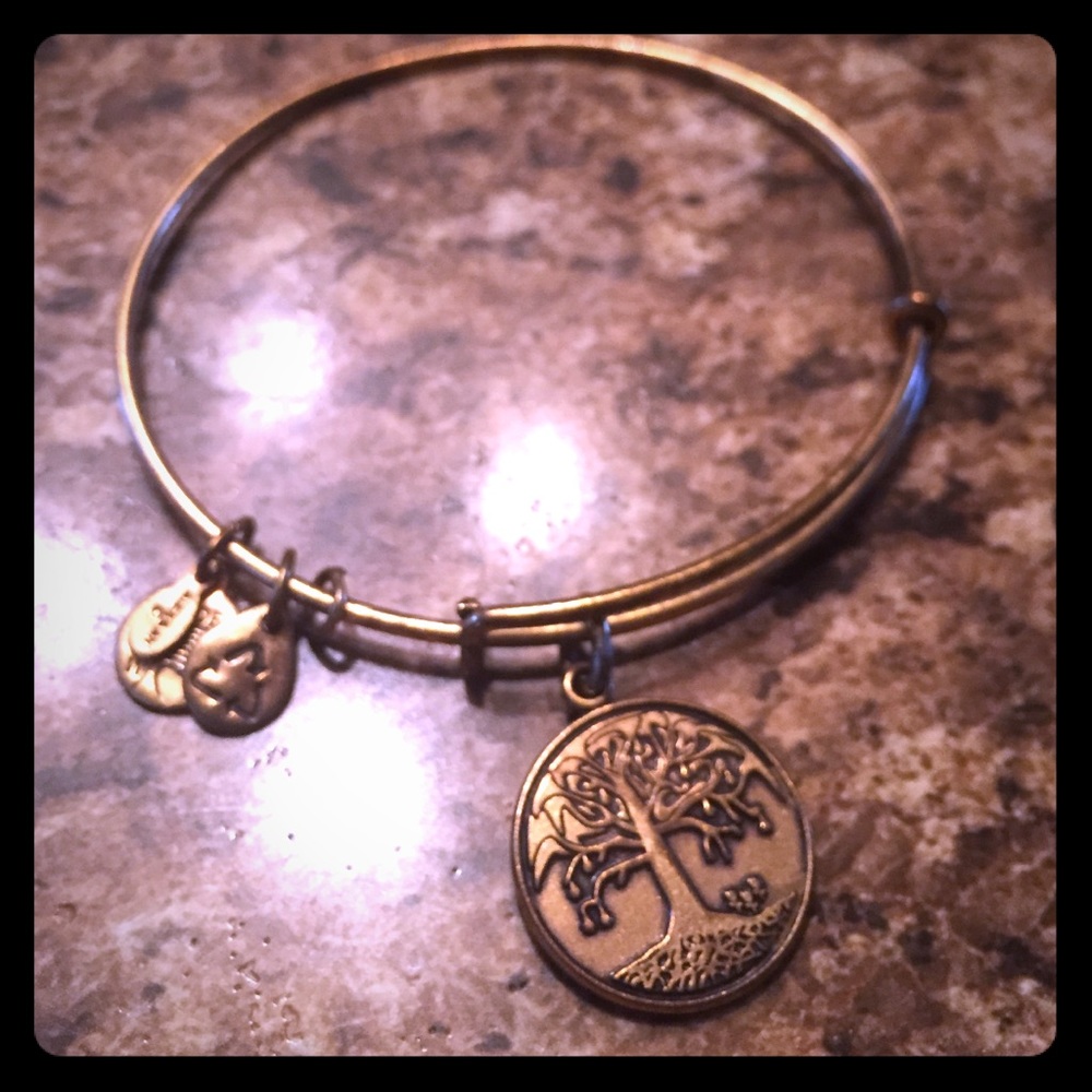 Alex and Ani