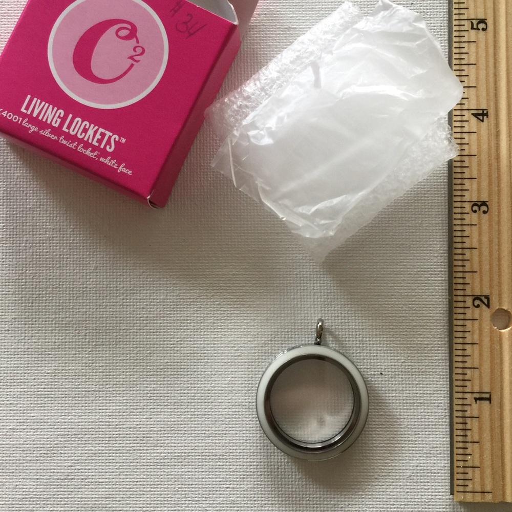 Large Silver Twist Locket with White face