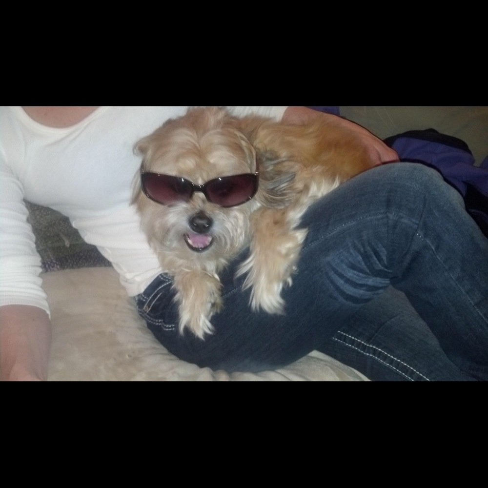 Meet your Posher, Jen