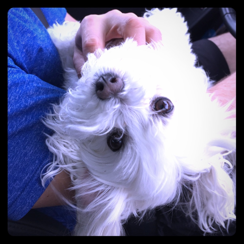 BUNDLE! Make me an offer! ❤🙌🏽