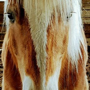 Meet your Posher, Patti