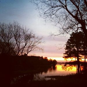 Meet your Posher, Deb