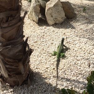 Meet your Posher, Kyle