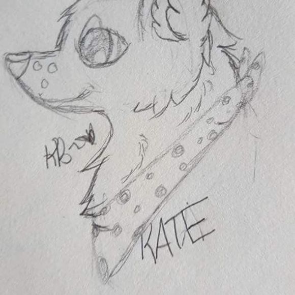 Meet your Posher, David - Picture 1 of 1