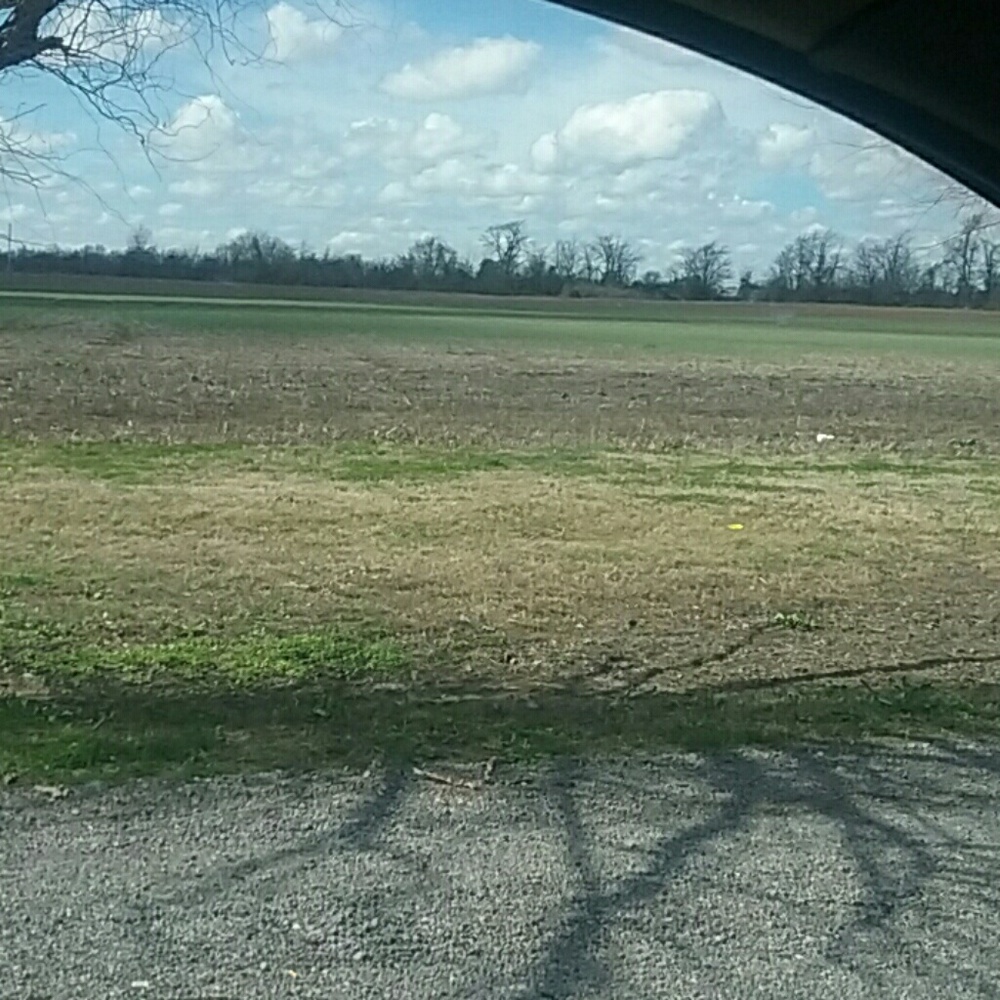 Meet your Posher, Angelia