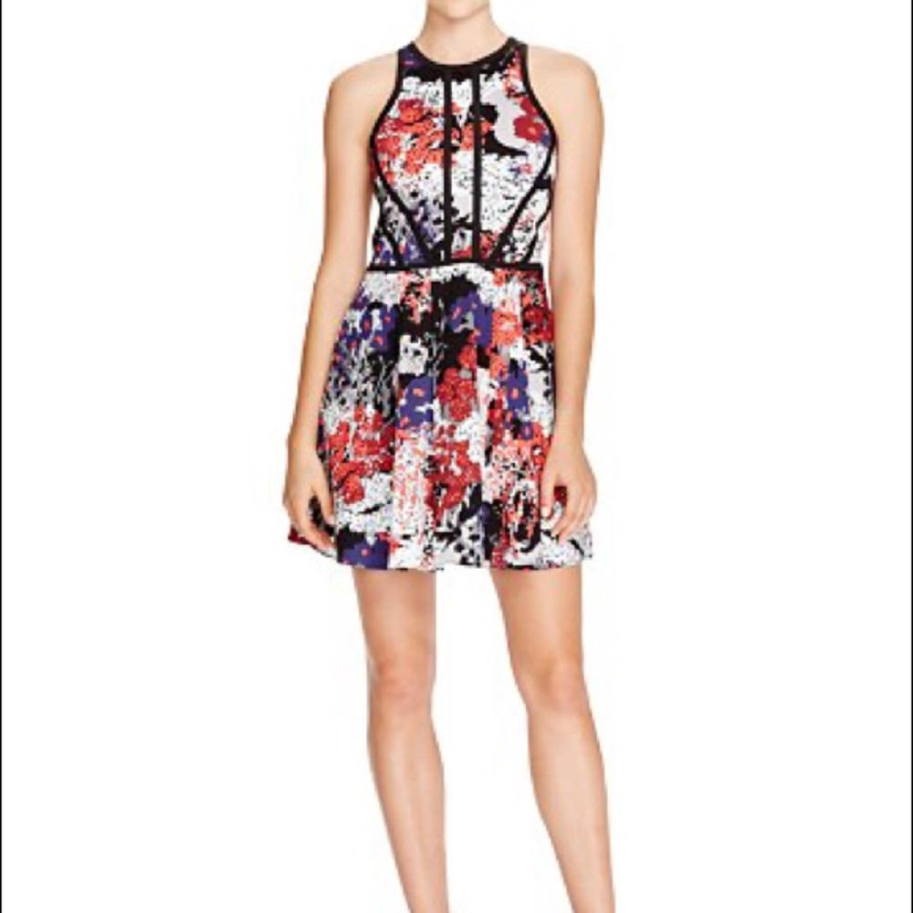 Parker Hudson Dress