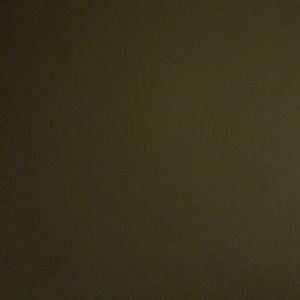 Meet your Posher, Ray