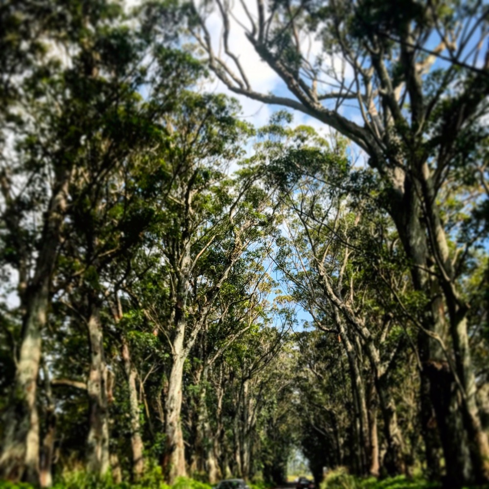 Meet your Posher, Bryn