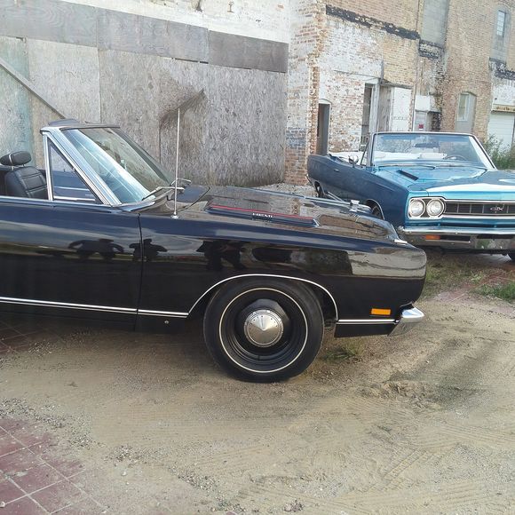 Meet your Posher, Mackenzie - Picture 1 of 1