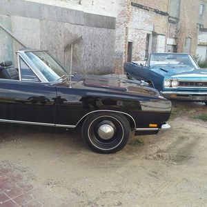 Meet your Posher, Mackenzie