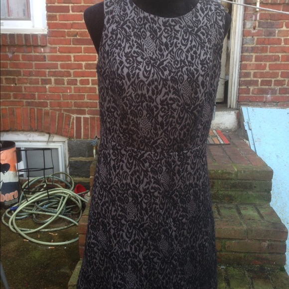 Anne Taylor Loft Gorgeous dress size 6 Stunning - Picture 1 of 5