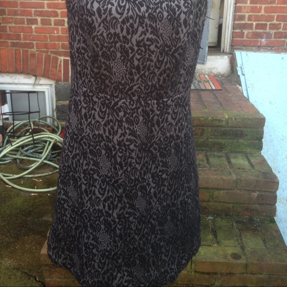 Anne Taylor Loft Gorgeous dress size 6 Stunning - Picture 2 of 5