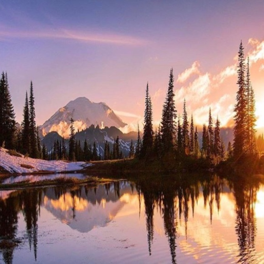 Meet your Posher, Sophie