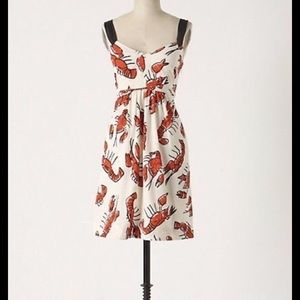 Edme and esyllte dress from anthropologie