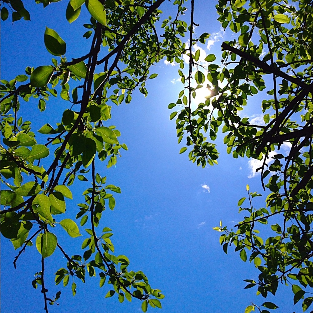 Meet your Posher, Marissa