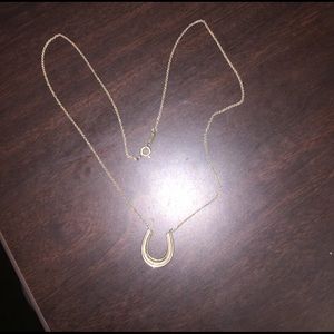 Tiffany & CO horseshoe necklace