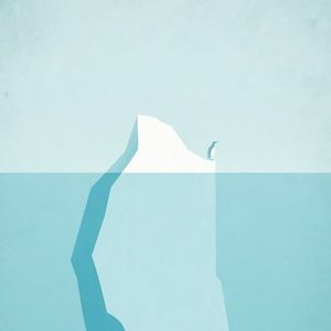 Meet your Posher, Ace