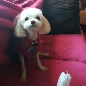 Meet your Posher, Starr