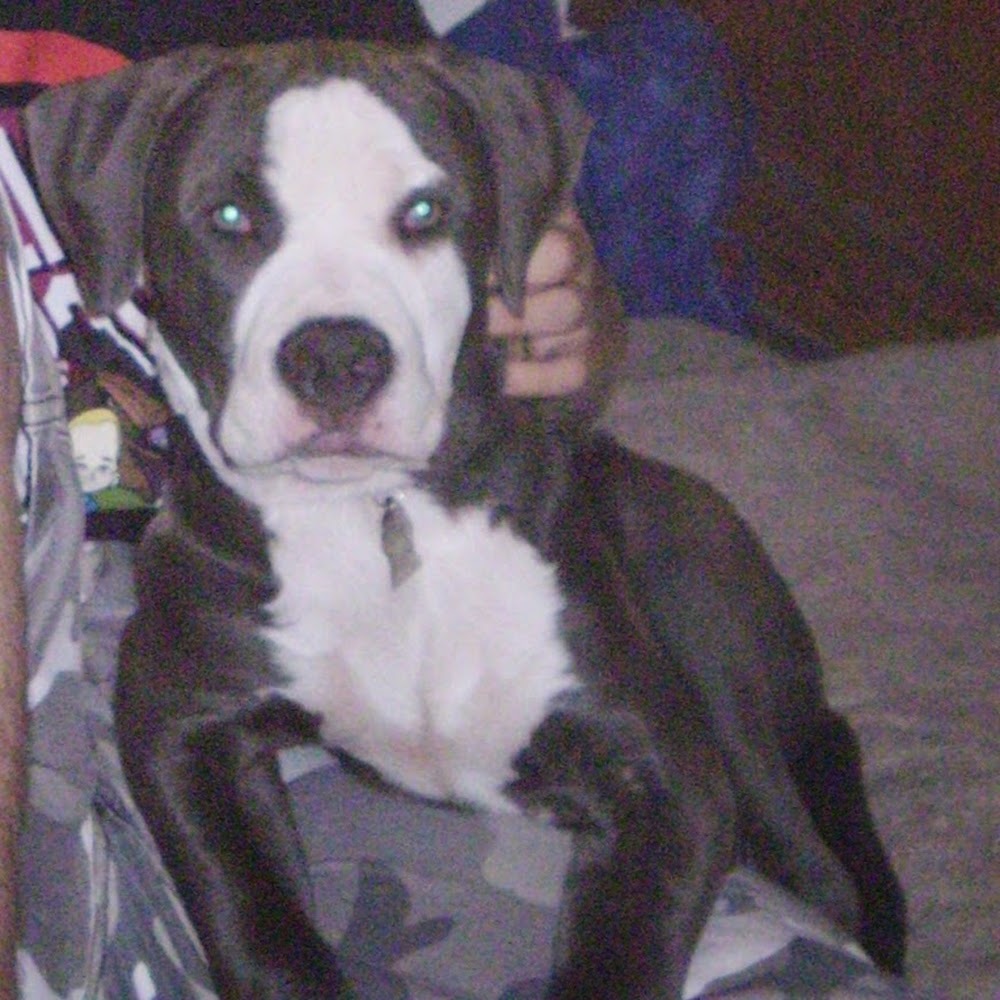 Meet your Posher, Lorraine