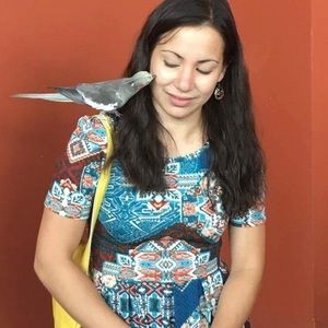 LuLaRoe XXS Amelia, Unique Design