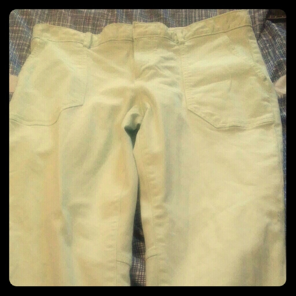 Mint Soft Ankle pants