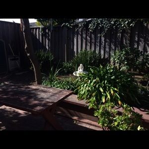 Meet your Posher, Lizzie