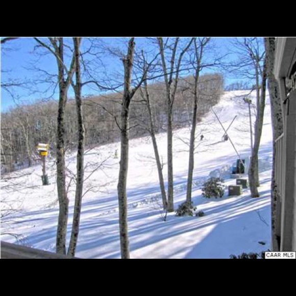 Meet your Posher, Andrew - Picture 1 of 1