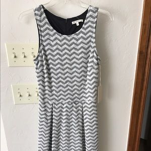 NWT 41 Hawthorne Dress