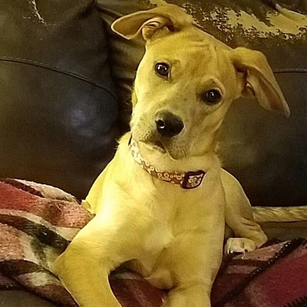 Meet your Posher, Gail