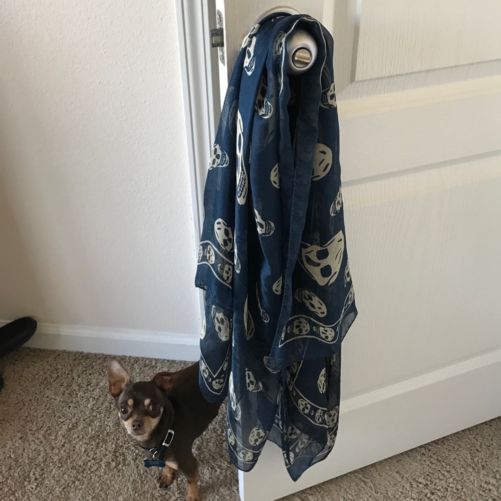 Alexander McQueen Classic Silk Blend Skull Scarf