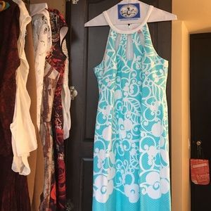 Blue Lilly Dress