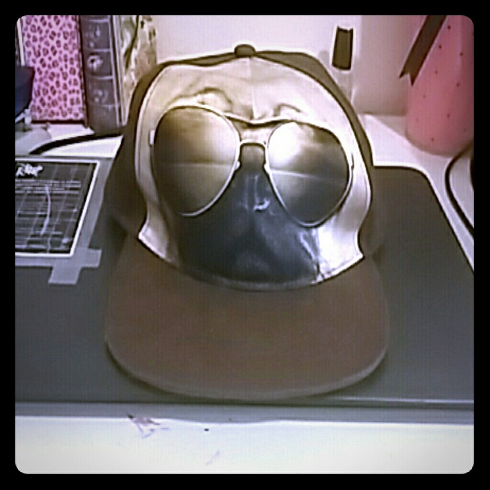 Pug with sunglasses hat