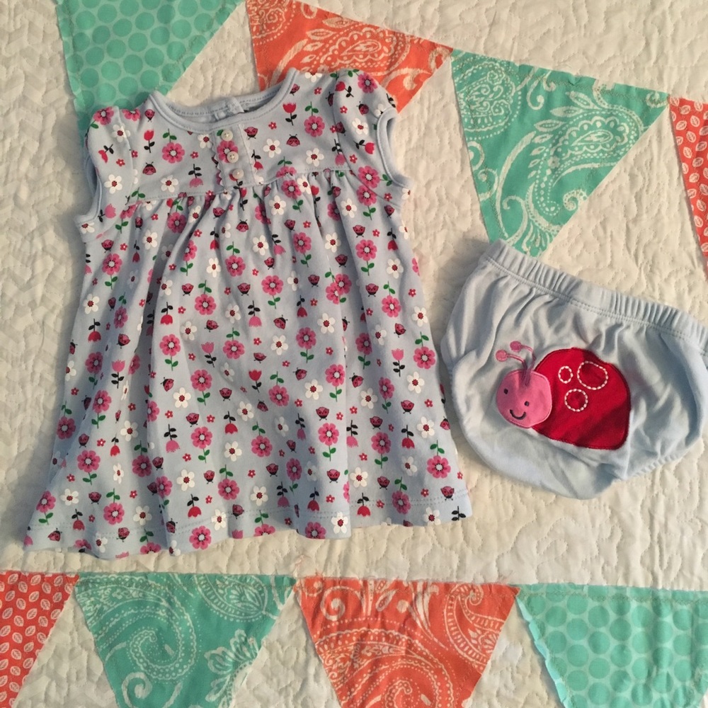 🐞Carter's Dress with Ladybugs and Flowers🌸