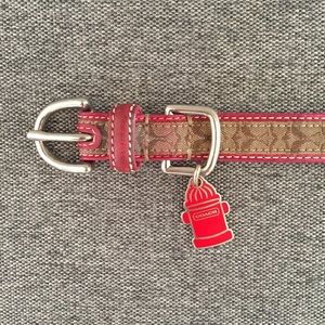 Coach Dog Collar