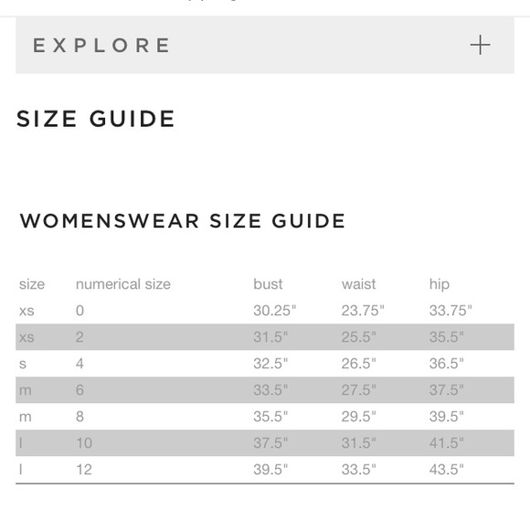 HOST PICK NWT French Connection Lace Dress - Picture 6 of 6