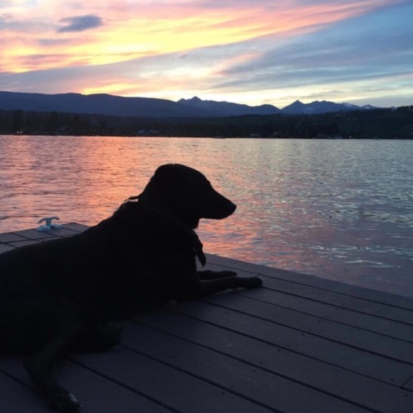 Meet your Posher, Natalie - Picture 1 of 1