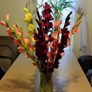 Meet your Posher, Anh