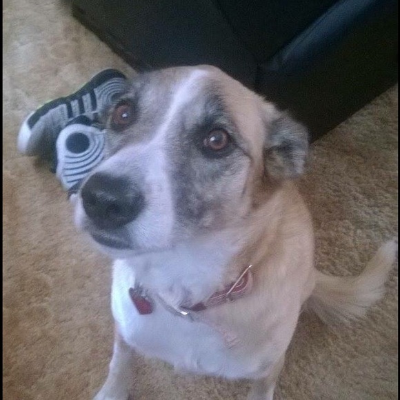 Meet your Posher, Desiree - Picture 1 of 1