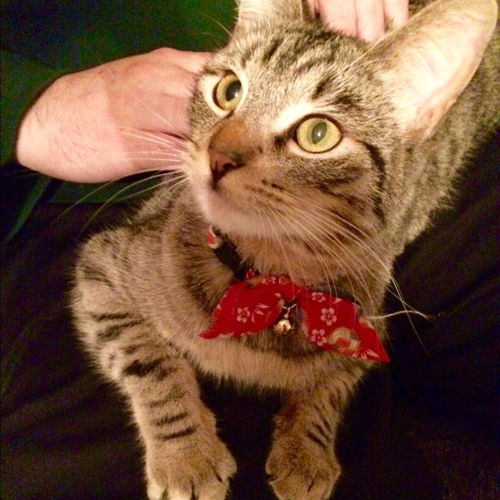 🌻WELCOME TO MY STORE! 🦄