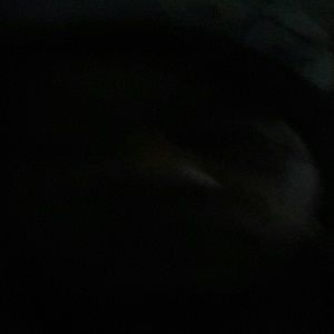 Meet your Posher, Mayra