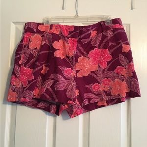 Loft shorts