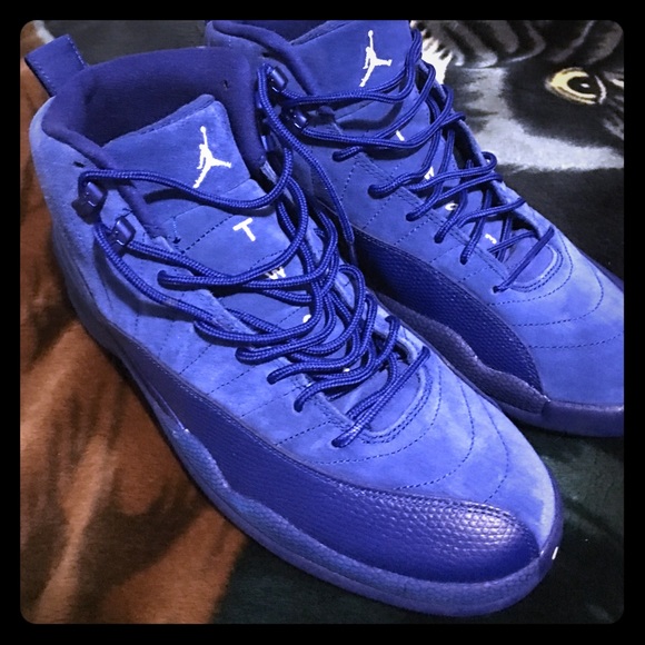 mens jordan 12 size 11