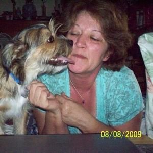 Meet your Posher, Priscilla