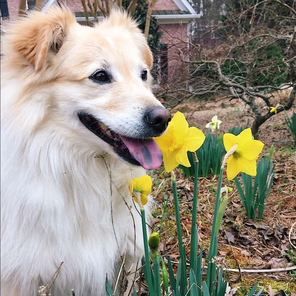 Meet your Posher, Matt - Picture 1 of 1